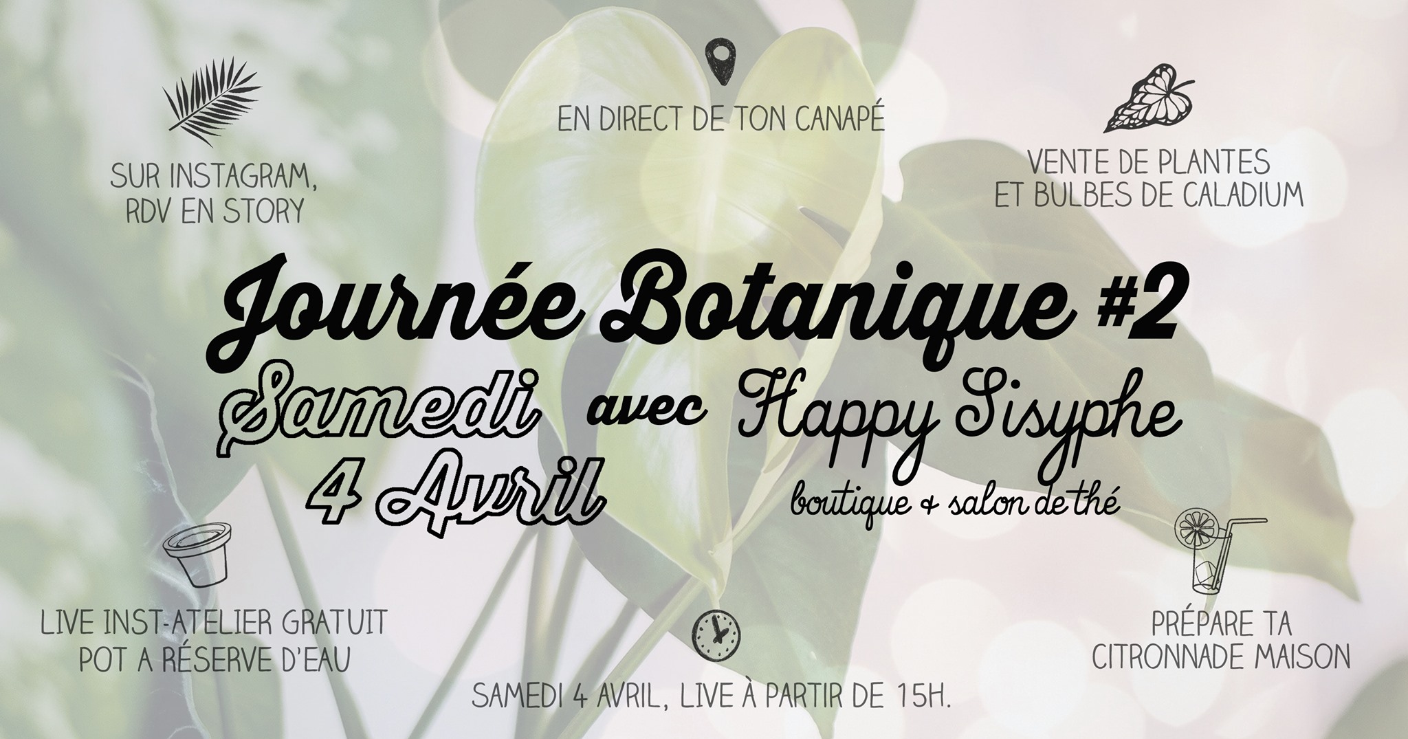 On a fait l'Aprèm Cartomancie de ton canap alors pourquoi pas la Journée Botanique ?! Petit ajustement du programme de la journée : ✿ VENTE DE PLANTES Des vraies, des fausses, pour tous les goûts et pour tous les niveaux ! Bon ben là on a pas changé le programme sauf qu'il n'y aura pas d'envoi pour les plantes, elles vous seront réservées avec un retrait post-confinement en boutique (et en attendant je vous les chouchoute à la maison) Coleus, Pilea, Tradescantia & Calathea, bouturés et élevés par mes soins ; ou Caladium, Oxalis & Alocasia en papier, en vente sur le E-Shop dès Samedi. ✿ T̶R̶O̶C̶ ̶D̶E̶ ̶B̶O̶U̶T̶U̶R̶E̶S̶ VENTE DE BULBES DE CALADIUM Grosse déception pour ma part de ne pas faire le troc de bouture cette année mais bon, "on se laisse pas abattre" = MANTRA 2020 ! A la place, on vous propose à la vente des bulbes de Caladium, une plante pas facile à trouver mais que vous avez peut-être aperçue en version papier à la boutique. Appelé aussi Ailes d'Anges, le Caladium est une plante vivace avec un feuillage magnifique, pour ne pas dire complètement fou (et magique). Histoire de quand même vous envoyer un peu de botanique à la maison, les bulbes seront postées en Lettre Suivie (pas de déplacement en bureau de poste, boîte aux lettres uniquement), tout bien protégés. 10euros, le bulbe de Caladium (variété surprise), dans son pochon de jute, avec une notice et un petit panneau pour patienter. ✿ LIVE INST-ATELIER GRATUIT : POT A RÉSERVE D'EAU Parce que c'est pas tous les jours facile de comprendre ce qu'il se passe dans les racines de ta plante, viens apprendre à fabriquer un pot à réserve d'eau avec 3 fois rien ! On discutera aussi rempotage, drainage, bouturage, et on s'échangera nos tuyaux pour que la petite jungle qui est chez toi s'épanouisse dans les meilleures conditions. > Atelier GRATUIT à partir de 15h en LIVE INSTAGRAM. ✿ PRÉPARE TA CITRONNADE MAISON Alors oui d'habitude on vous propose toujours des gourmandises et boissons à la boutique lors de nos évènements, donc pour ne pas déroger à la règle, je vous invite à préparer votre citronnade (ou autre hein) pour ce moment.. En attendant, prenez soin de vous CHEZ VOUS, A Samedi !