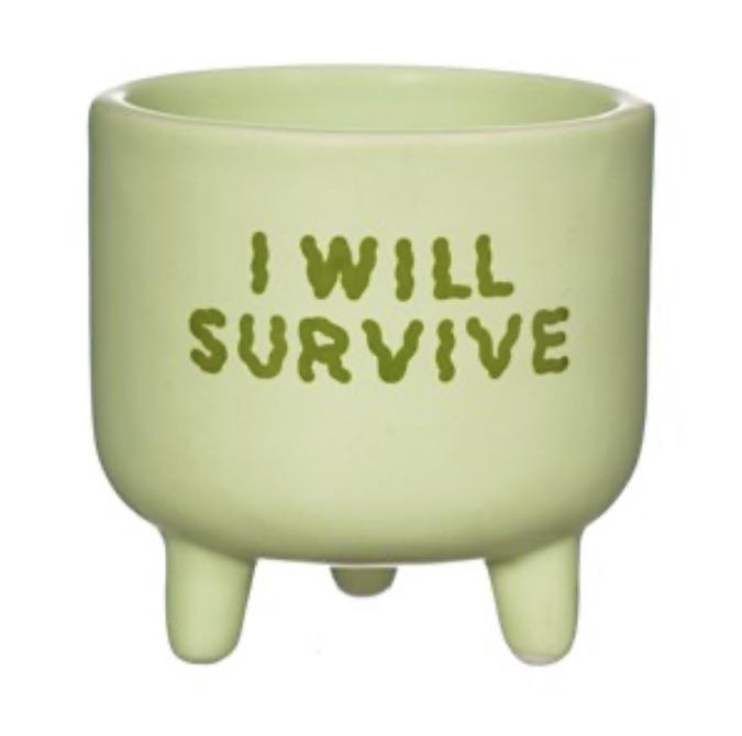 Cache-pot I will survive vert pastel Happy Sisyphe Boutique Lyon