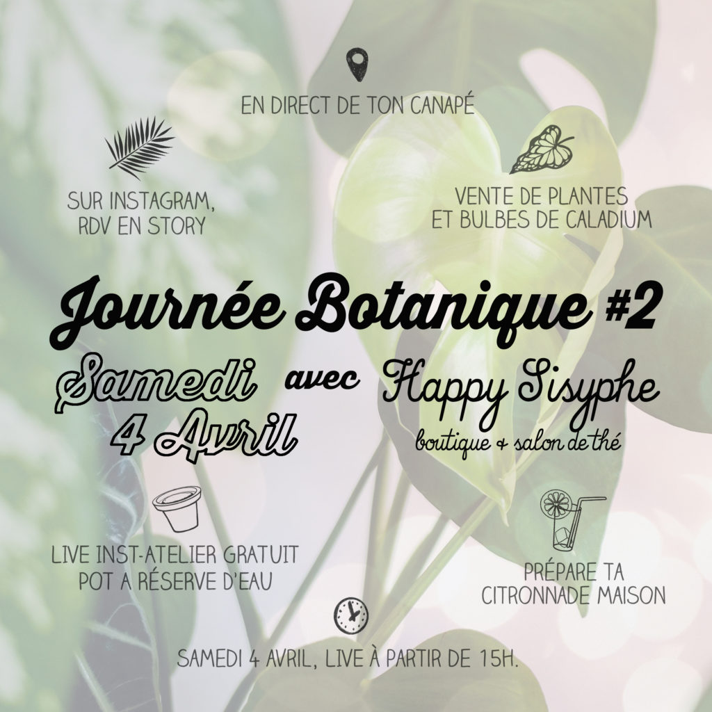 Journée Botanique 2 Happy Sisyphe Boutique Lyon evenement plantes vert printemps