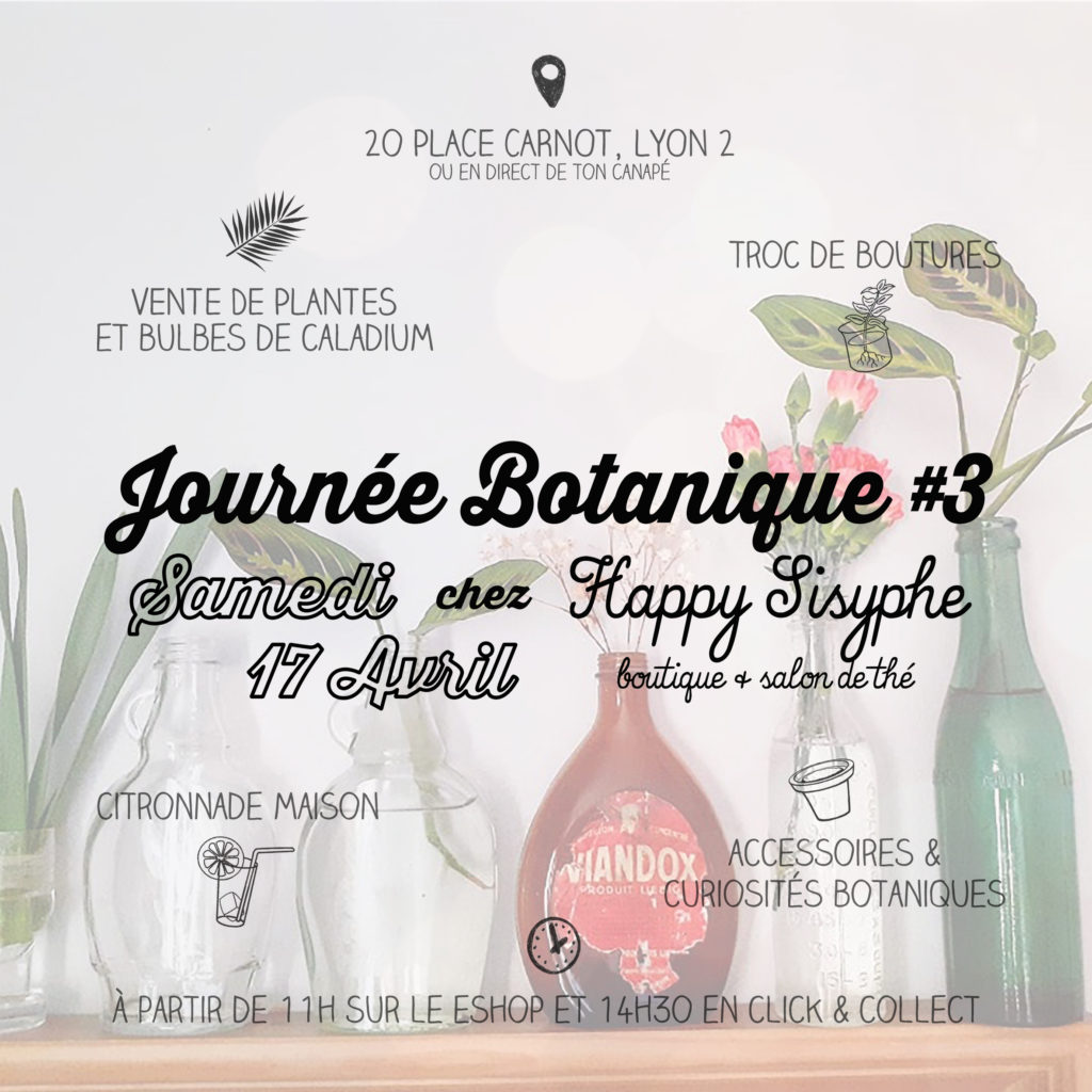 Journée botanique 3 Happy Sisyphe Boutique Lyon Evenement Plante bulbe caladium limonade