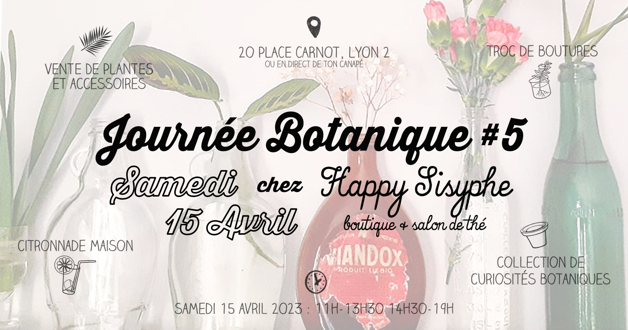Journée botanique 3 Happy Sisyphe Boutique Lyon Evenement Plante bulbe caladium limonade