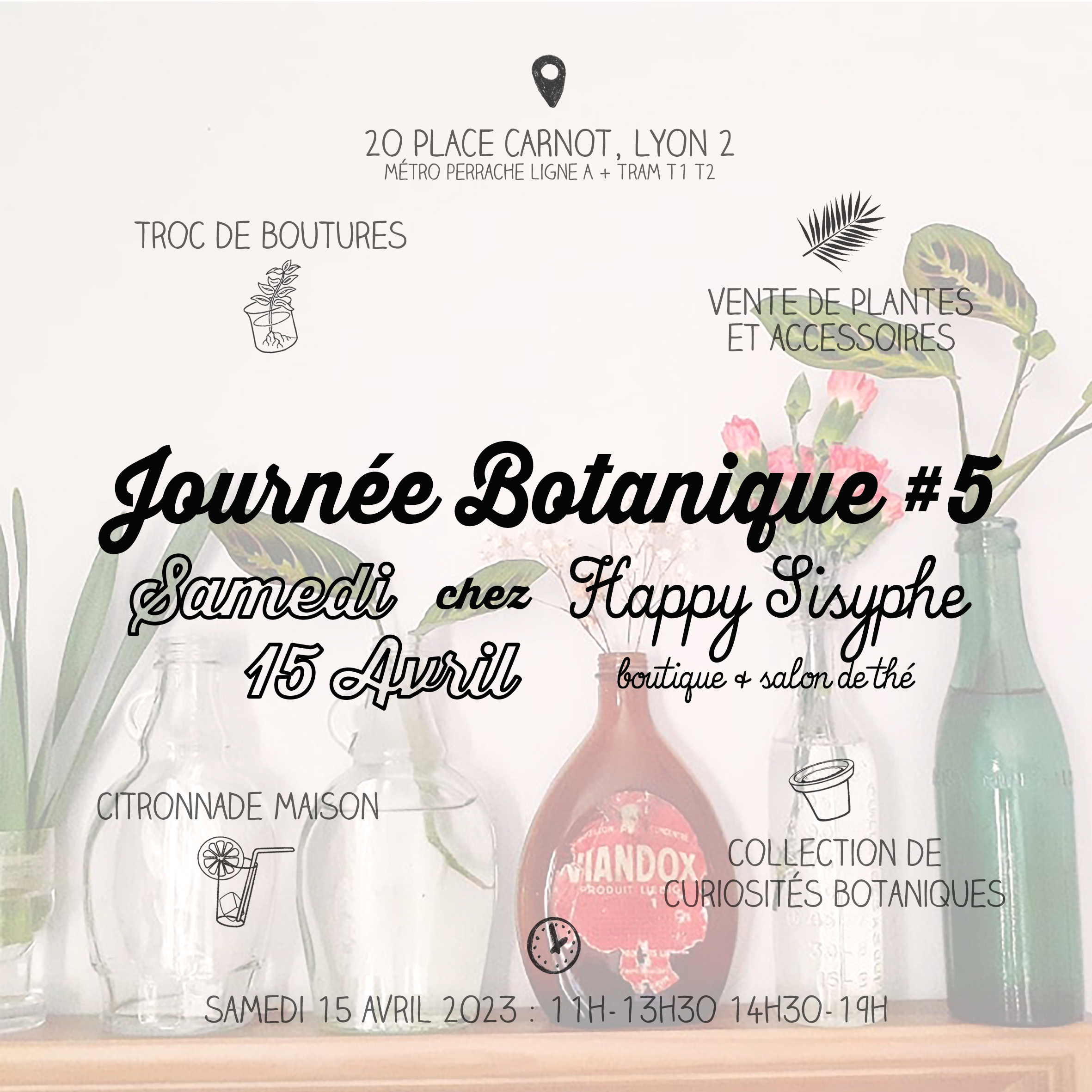 Journée botanique 3 Happy Sisyphe Boutique Lyon Evenement Plante bulbe caladium limonade